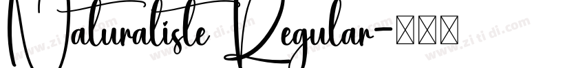 Naturaliste Regular字体转换